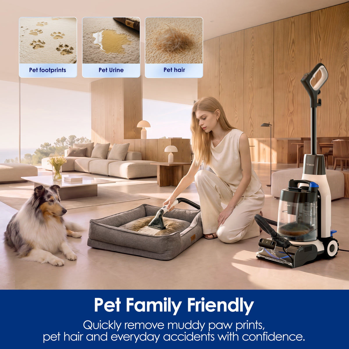 Tineco Carpet One Cruiser Essentials Carpet Cleaner