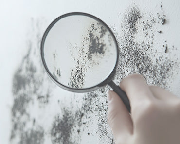 Alt Image